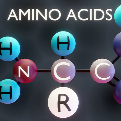 Amino acids