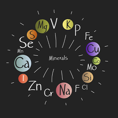 Metals - Trace elements