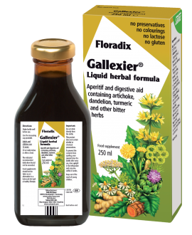 Salus Floradix Magnesium 250 ml