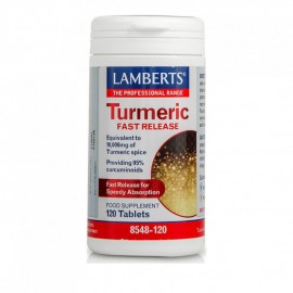 Lamberts Turmeric Fast Release 10,000mg 120Tabs