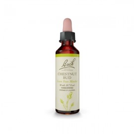 Dr Bach Ανθοϊαμα Chestnut Bud 20ml