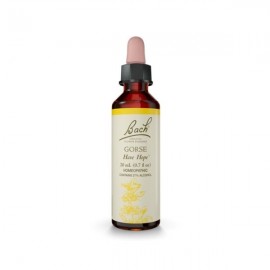 Dr Bach Ανθοϊαμα Gorse 20 ml