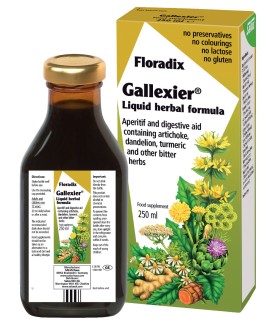 Salus Floradix Magnesium 250 ml