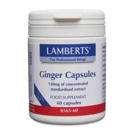 Lamberts Ginger 120 mg 60 caps
