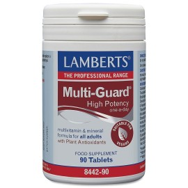 Lamberts Multi Guard High Potency 90 Tabs