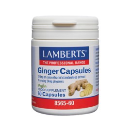 Lamberts Ginger 120 mg 60 caps