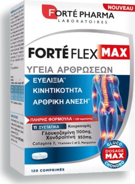 Forte Pharma Forte Flex Max Articulations 120 tabs