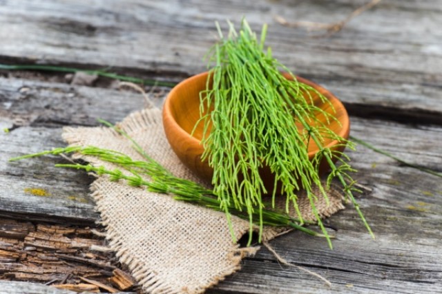 Εκουιζέτο (Horsetail) σε κάψουλες: Οφέλη, δοσολογία και πιθανοί κίν...