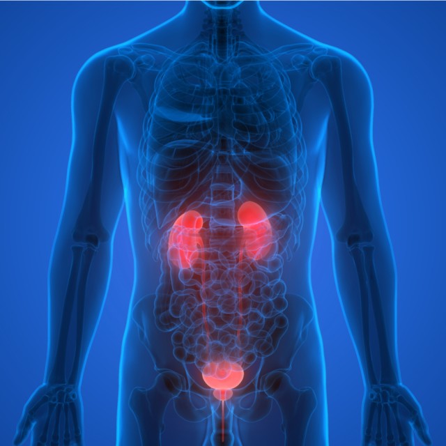 Health Aid - Ουροποιητικό