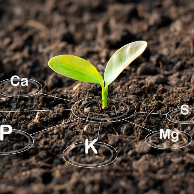 Health Aid - Μέταλλα