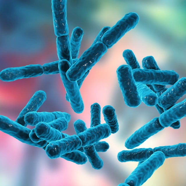 Health Aid - Προβιοτικά