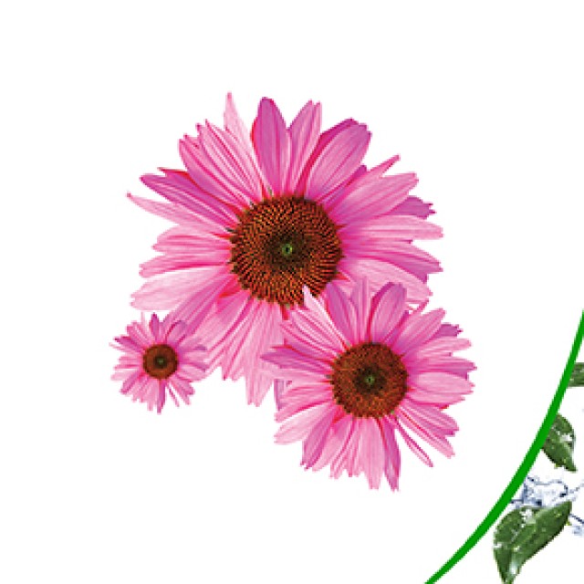 Power Health Ενίσχυση Ανοσοποιητικού