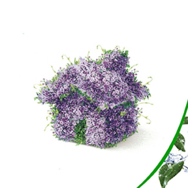 Power Health Αρωματικά Χώρου