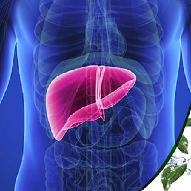 Power Health Προστασία Ύπατος