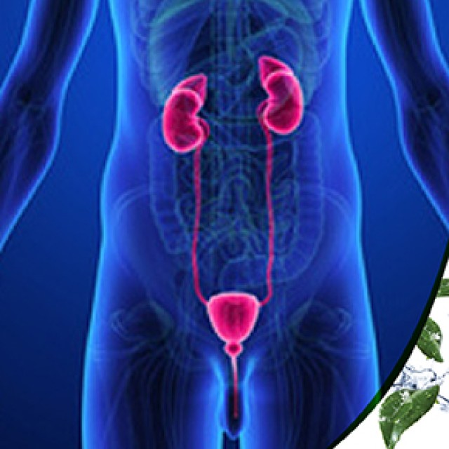 Power Health Στυτική Λειτουργία