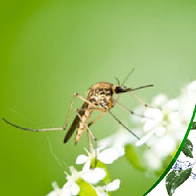 Power Health Εντομοαπωθητικά - Τσιμπήματα