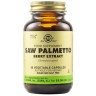 Solgar Sfp Saw Palmetto Berry Extract 60 veg. caps Solgar Sfp Saw Palmetto Berry Extract 60 veg. caps