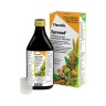 Salus Floradix Epresat 250 ml Salus Floradix Epresat 250 ml