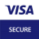 visa icon